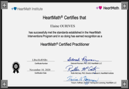 Certificado da Elainne Ourives