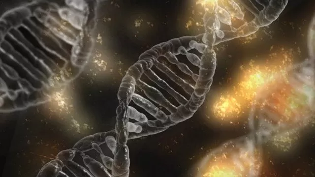 Dna de ouro